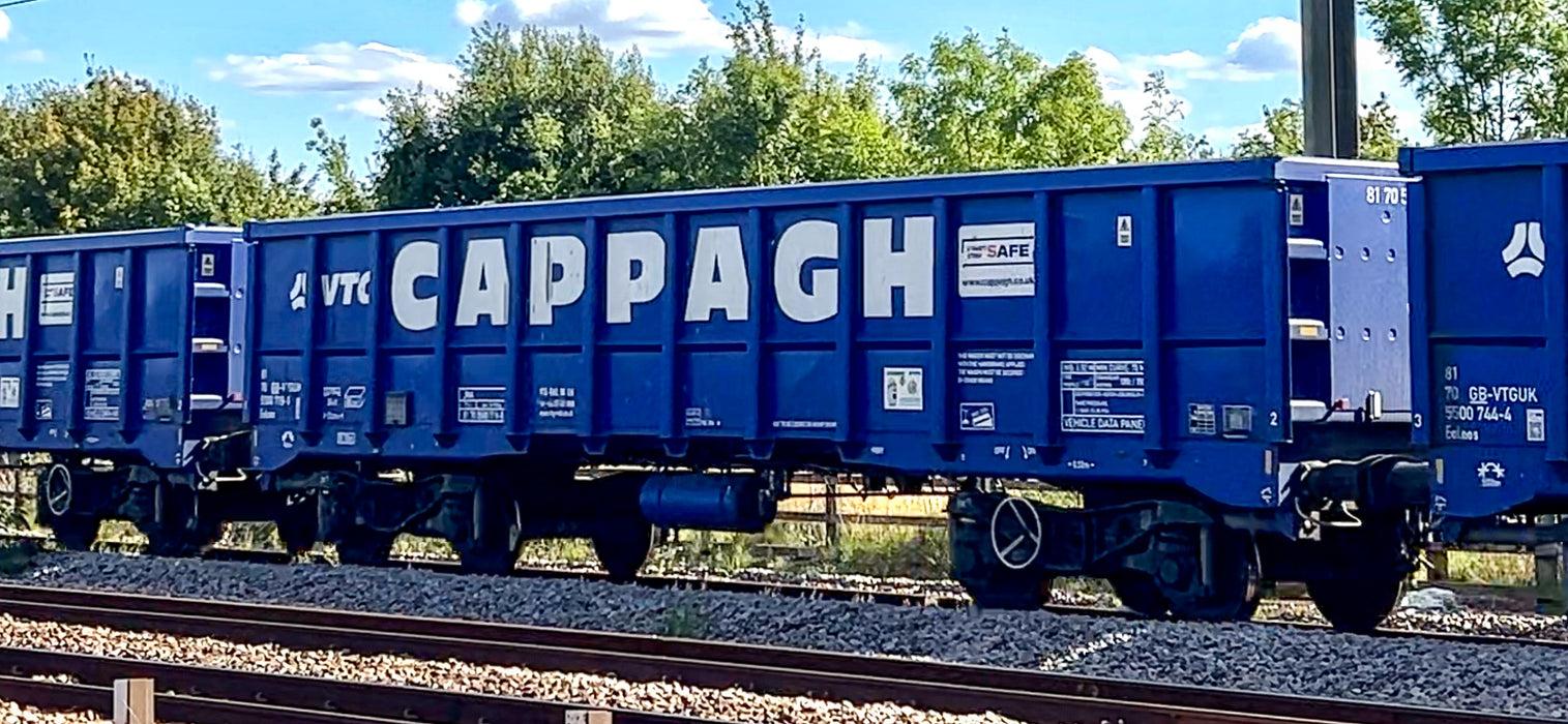 Preorder Cappagh Branded Royal Blue JNA - V4