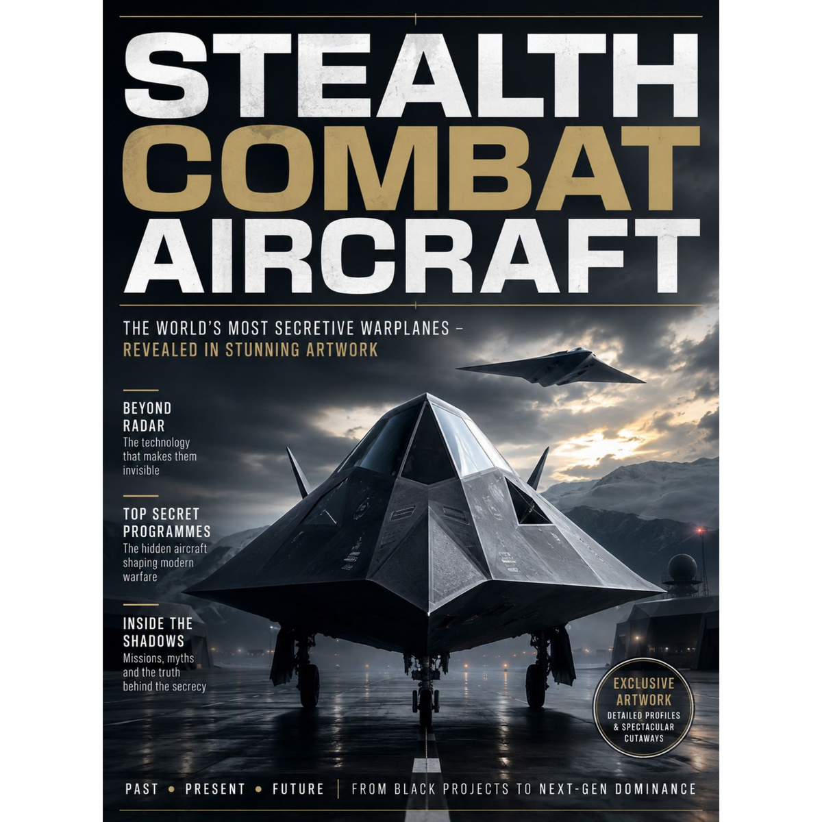 Stealth Combat Aircraft
