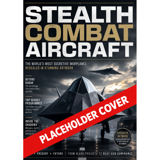 Stealth Combat Aircraft
