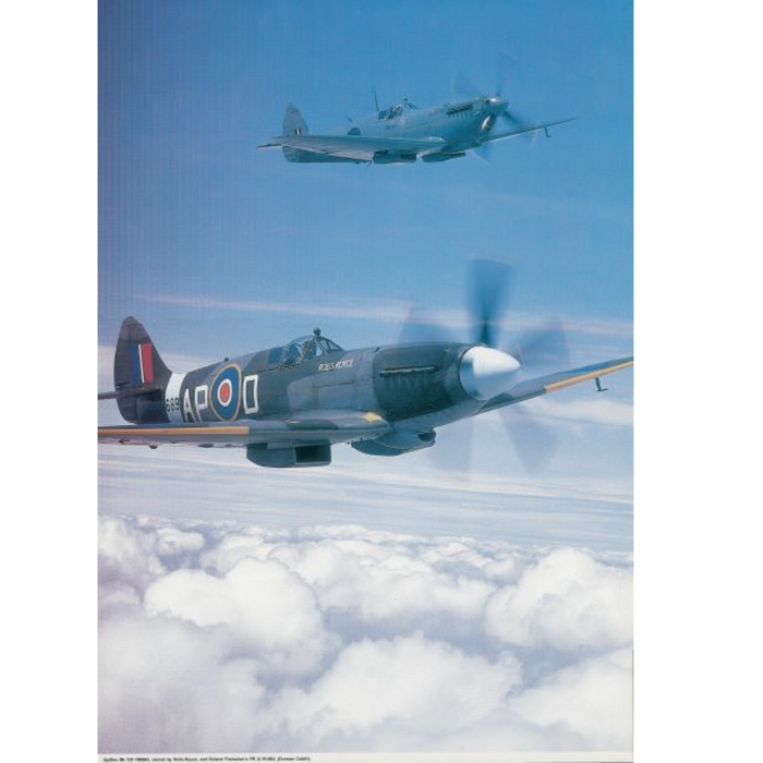 Spitfire Mk XIV Poster